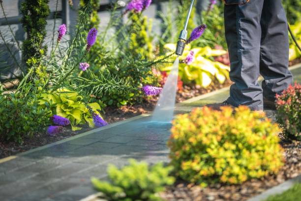 Trusted Willow Creek, CA Pressure Washing Services Experts