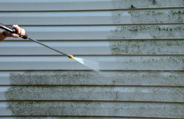 Best Vinyl Siding Pressure Washing in Willow Creek, CA